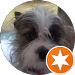 Profile photo of Joel Avila