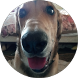 Profile photo of Jae Pickard