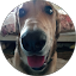 Profile photo of Jae Pickard