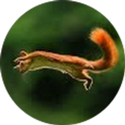 Profile photo of Allan Braday