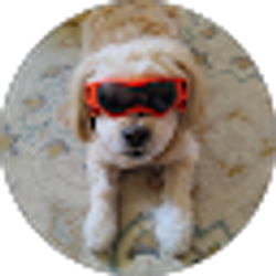 Profile photo of Scott Macdonald