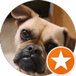 Profile photo of Jennifer Beilke