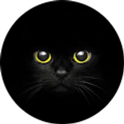 Profile photo of Jessica Davenport