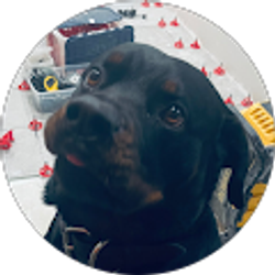 Profile photo of robert goggin