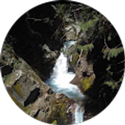 Profile photo of Yessica Vargas