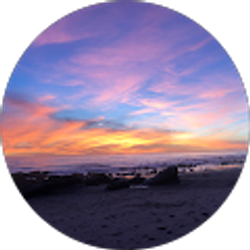 Profile photo of Jacqueline Reid