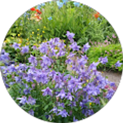 Profile photo of Kevin M. Walsh