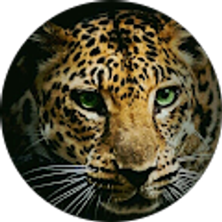 Profile photo of Rainbow6 Tr