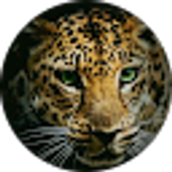 Profile photo of Rainbow6 Tr
