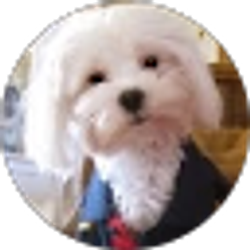 Profile photo of Jack Lisiecki