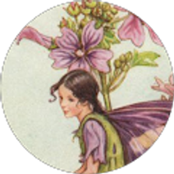 Profile photo of Mia Bella