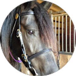 Profile photo of Kimberly Welsh