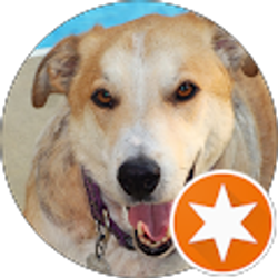 Profile photo of L Wayne Nail