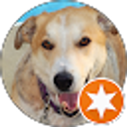 Profile photo of L Wayne Nail