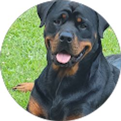 Profile photo of Kevin nobody