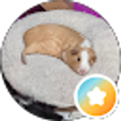 Profile photo of R Wolf