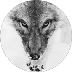 Profile photo of Mystik FlaMe