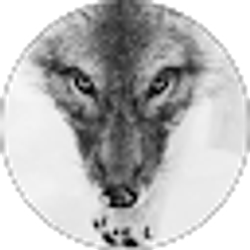 Profile photo of Mystik FlaMe
