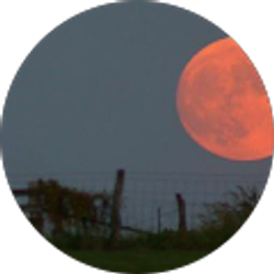 Profile photo of Anthony Solorio