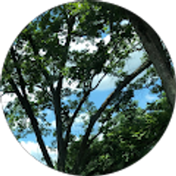 Profile photo of Donald Miller