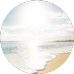 Profile photo of liandra elgin