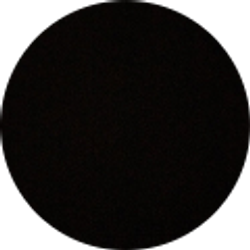 Profile photo of Brylee Channon