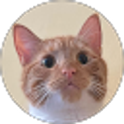 Profile photo of Winnie C.