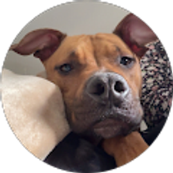 Profile photo of Cassandra Lesniczak