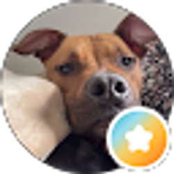 Profile photo of Cassandra Lesniczak