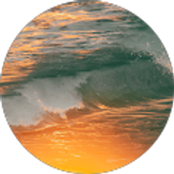 Profile photo of gregory cook