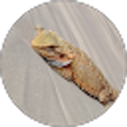 Profile photo of Max Soliz