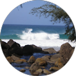 Profile photo of Lauren Psimaris