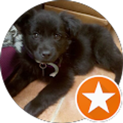 Profile photo of Rick Jones