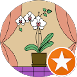 Profile photo of Roxie Suchic