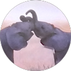 Profile photo of BrAnDyB