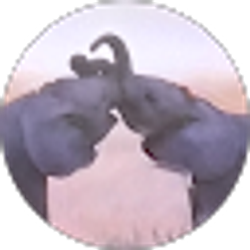 Profile photo of BrAnDyB