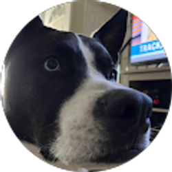 Profile photo of Mike Small