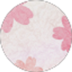 Profile photo of Wen Xin