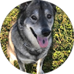 Profile photo of Cynthia