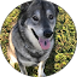 Profile photo of Cynthia