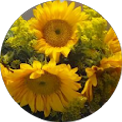 Profile photo of Jody