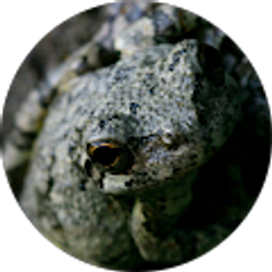 Profile photo of Allen Conley