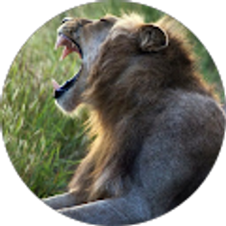 Profile photo of City Q