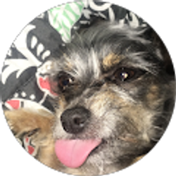 Profile photo of Tearsinreign