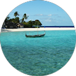 Profile photo of ac alpala