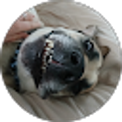 Profile photo of Brianna Huling