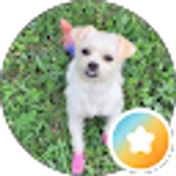 Profile photo of REDD BABY