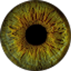 Profile photo of Abby Le