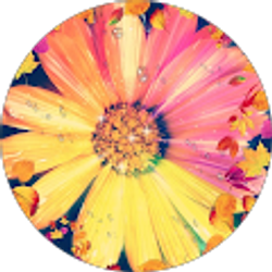 Profile photo of Tamie Hudson