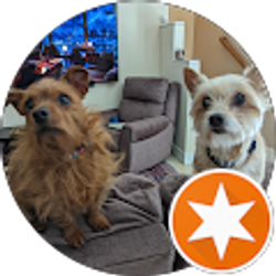 Profile photo of Dorian Callen